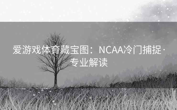 爱游戏体育藏宝图：NCAA冷门捕捉·专业解读