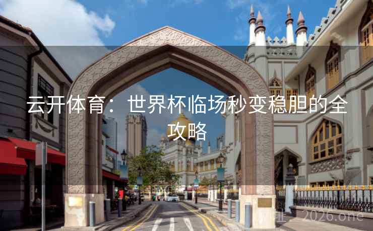 云开体育：世界杯临场秒变稳胆的全攻略