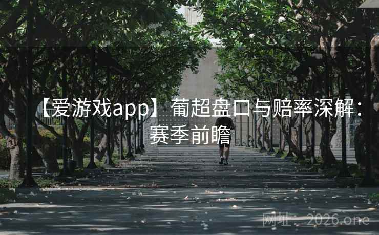 【爱游戏app】葡超盘口与赔率深解：赛季前瞻