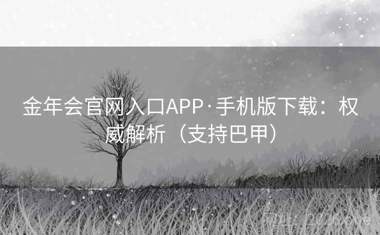 金年会官网入口APP·手机版下载：权威解析（支持巴甲）