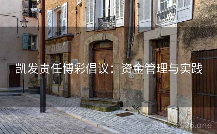 凯发责任博彩倡议：资金管理与实践