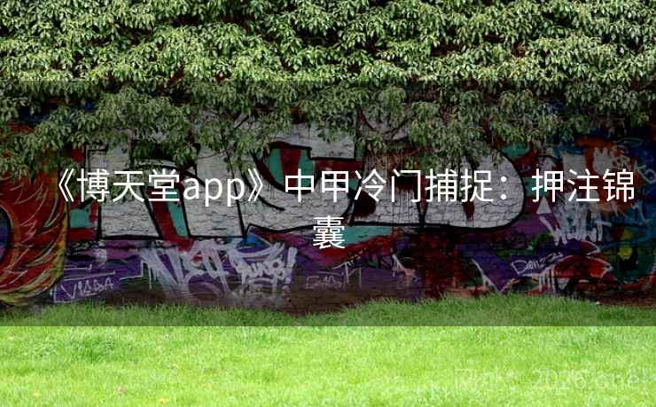 《博天堂app》中甲冷门捕捉：押注锦囊