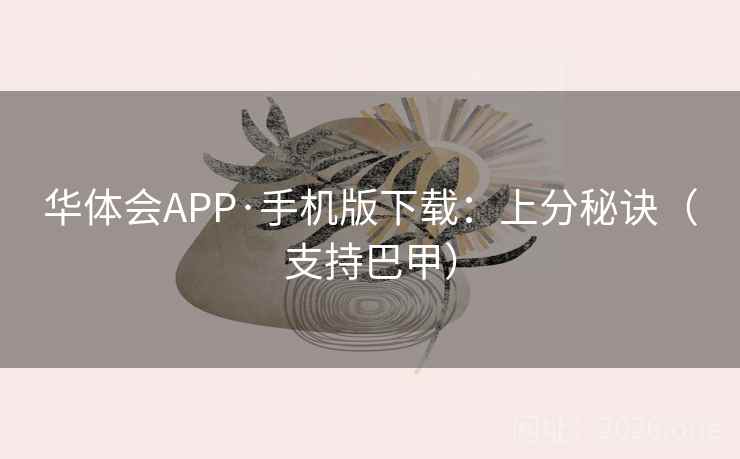 华体会APP·手机版下载：上分秘诀（支持巴甲）
