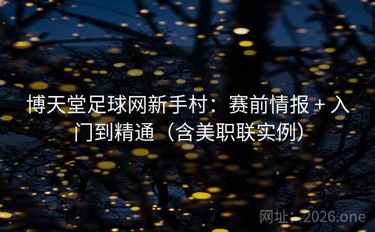 博天堂足球网新手村：赛前情报 + 入门到精通（含美职联实例）