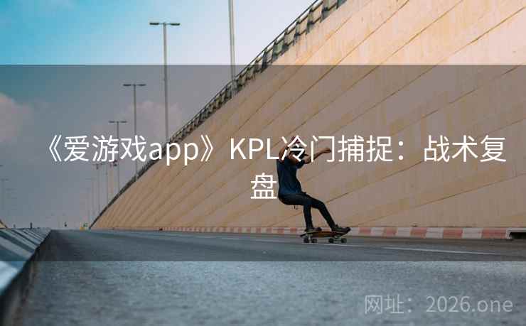 《爱游戏app》KPL冷门捕捉：战术复盘