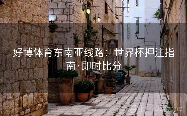 好博体育东南亚线路：世界杯押注指南·即时比分