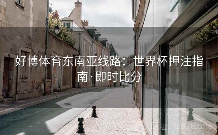 好博体育东南亚线路：世界杯押注指南·即时比分