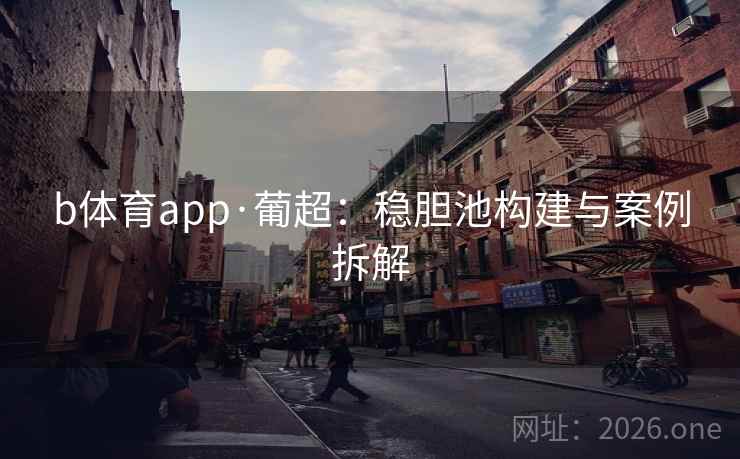 b体育app·葡超：稳胆池构建与案例拆解