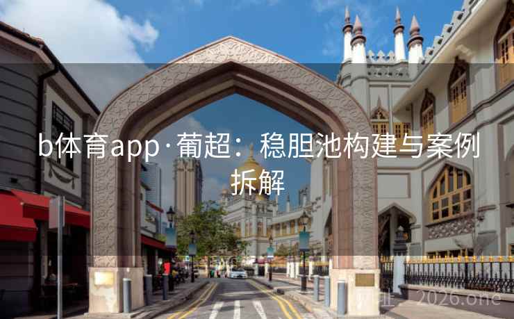 b体育app·葡超：稳胆池构建与案例拆解
