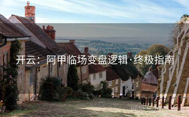 开云：阿甲临场变盘逻辑·终极指南