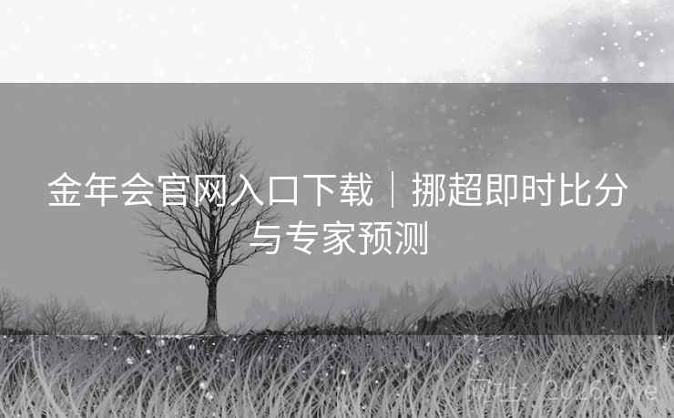 金年会官网入口下载｜挪超即时比分与专家预测
