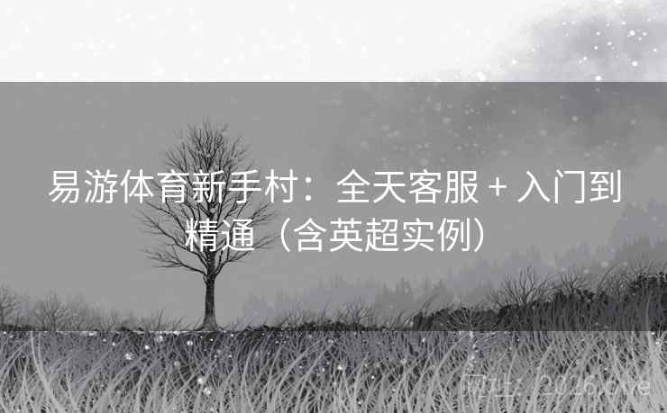 易游体育新手村：全天客服 + 入门到精通（含英超实例）