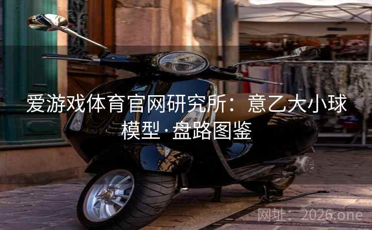 爱游戏体育官网研究所：意乙大小球模型·盘路图鉴