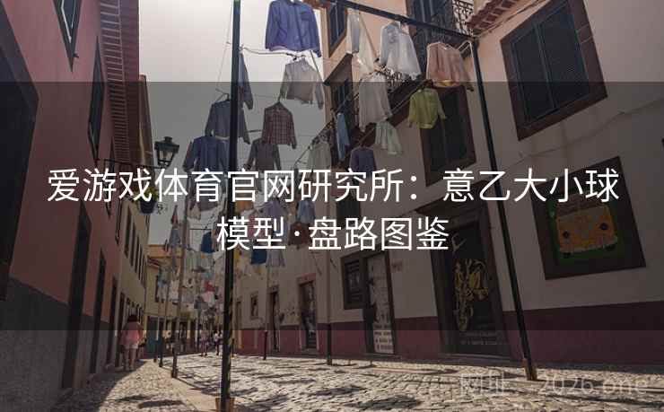 爱游戏体育官网研究所：意乙大小球模型·盘路图鉴