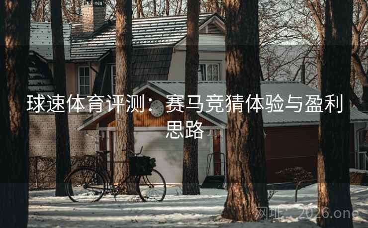 球速体育评测：赛马竞猜体验与盈利思路